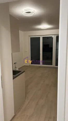 Pronájem bytu 1+kk, Praha - Hloubětín, Poděbradská, 30 m2