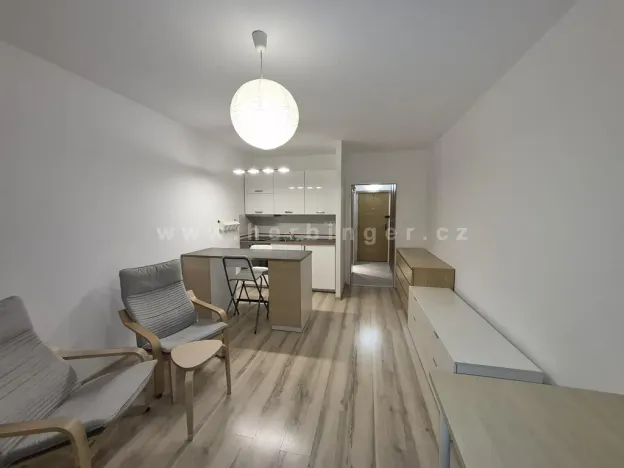 Pronájem bytu 1+kk, Ostrava - Moravská Ostrava, Gen. Janouška, 30 m2