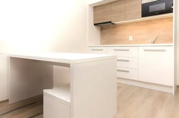 Pronájem bytu 1+kk, Praha - Žižkov, Jana Želivského, 38 m2