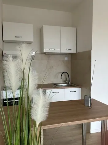 Pronájem bytu 2+kk, Liberec - Liberec VI-Rochlice, Na Žižkově, 45 m2