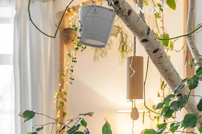 Pronájem rodinného domu, Podivín, Havlíčkova, 61 m2