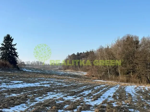 Prodej lesa, Světlá nad Sázavou, 48055 m2