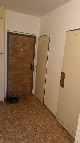 Prodej bytu 1+kk, Kladno, Mostecká, 28 m2