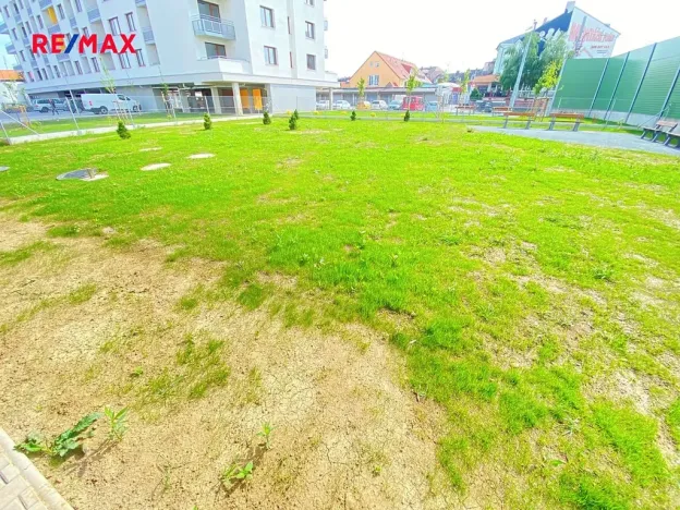 Pronájem bytu 2+kk, Plzeň, U Borských kasáren, 54 m2