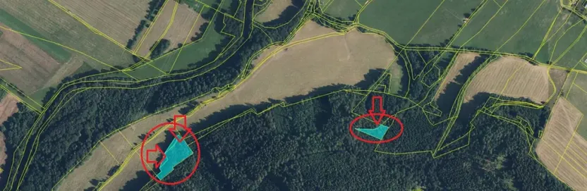 Prodej lesa, Velké Losiny, 7690 m2