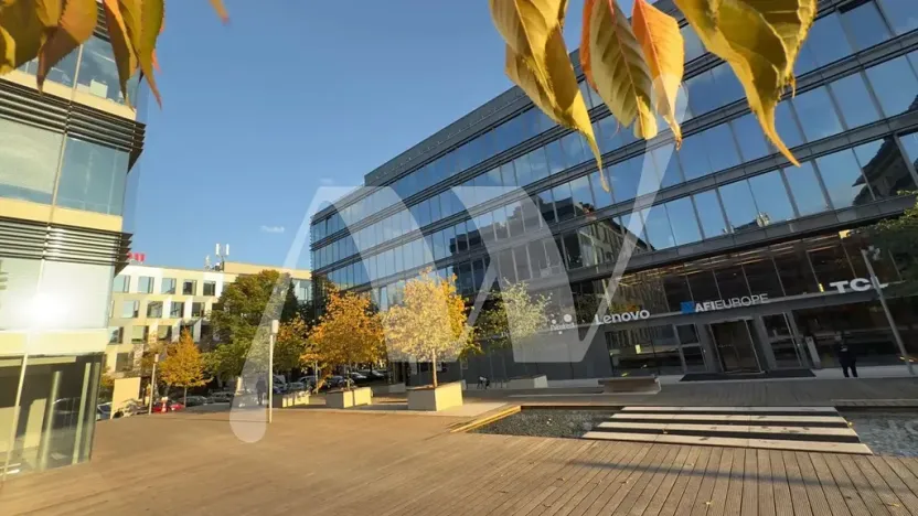 Pronájem kanceláře, Praha - Holešovice, Jankovcova, 330 m2