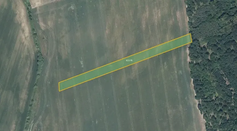 Prodej pole, Džbánice, 6560 m2