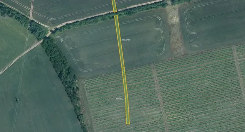 Prodej pole, Milotice, 7763 m2