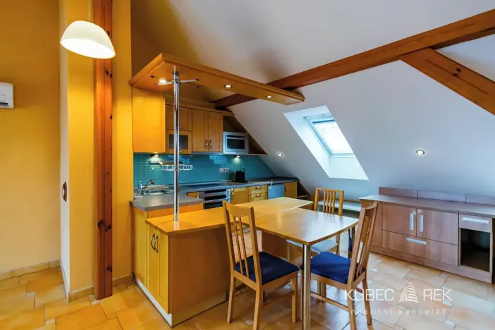 Pronájem bytu 1+kk, Tábor, Třebízského, 60 m2