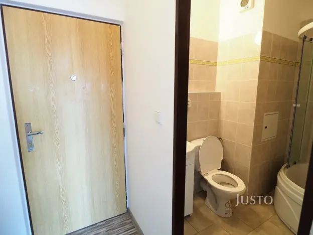 Pronájem bytu 1+kk, Písek, Dr. M. Horákové, 20 m2