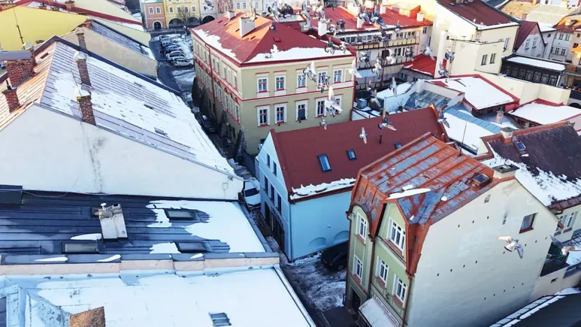 Prodej vícegeneračního domu, Hostinné, Dolní brána, 255 m2