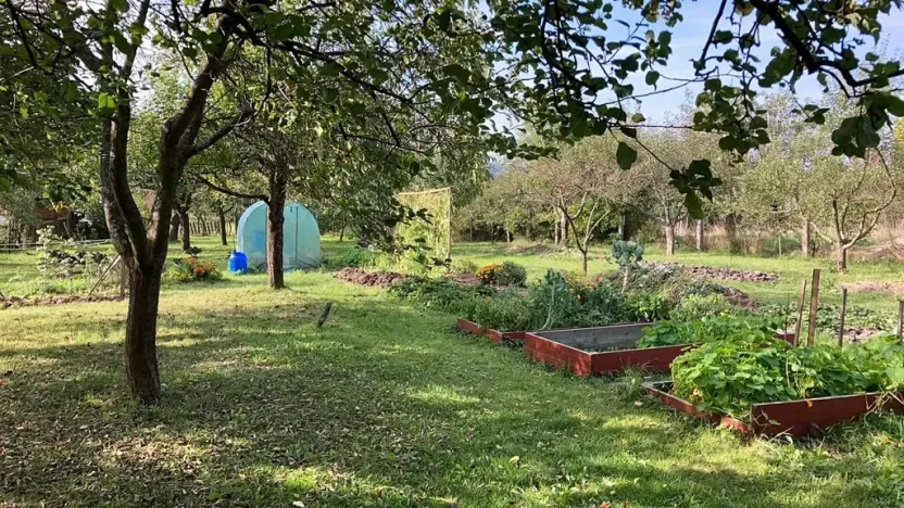 Prodej chalupy, Orlické Podhůří, 267 m2