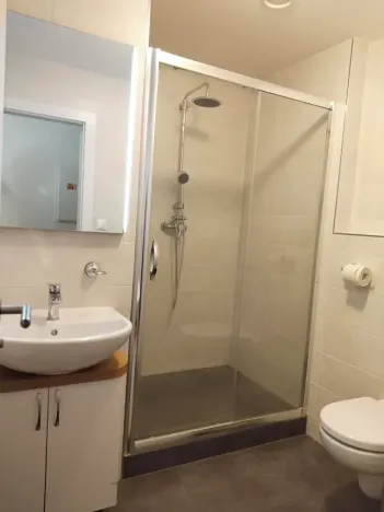 Pronájem bytu 1+kk, Plzeň, Klatovská třída, 47 m2