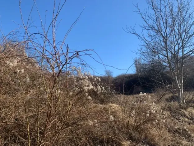 Dražba pozemku, Brandýs nad Labem-Stará Boleslav, 1631 m2