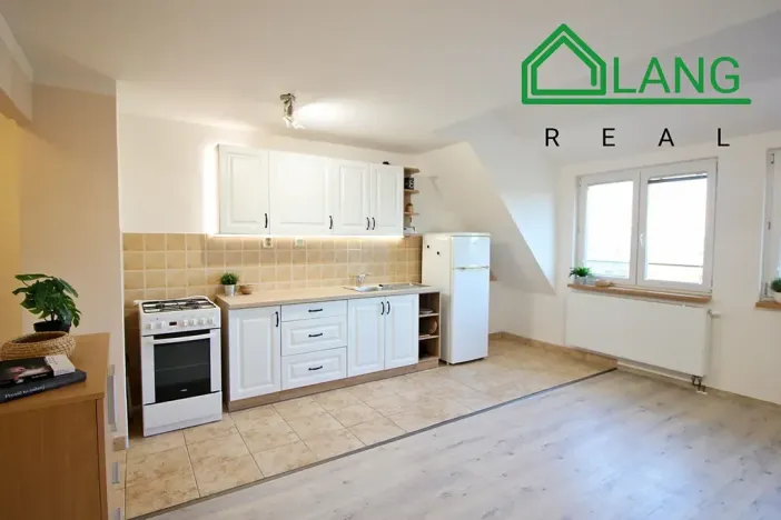 Pronájem bytu 2+kk, Brno, Demlova, 60 m2