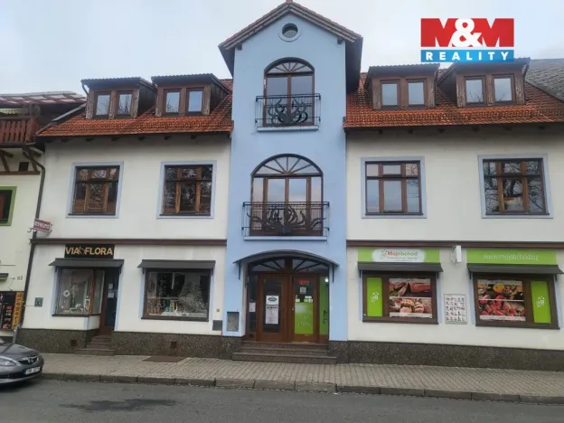 Pronájem obchodního prostoru, Nýrsko, Prap. Veitla, 24 m2