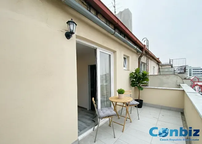 Pronájem bytu 1+kk, Praha - Nusle, Doudlebská, 30 m2