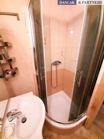 Pronájem bytu 1+kk, Frýdek-Místek, Smetanova, 27 m2