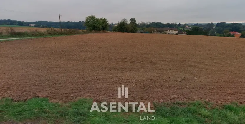 Prodej pozemku, Rychvald, Úvozní, 12432 m2