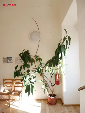 Pronájem kanceláře, Praha - Malá Strana, Karmelitská, 28 m2