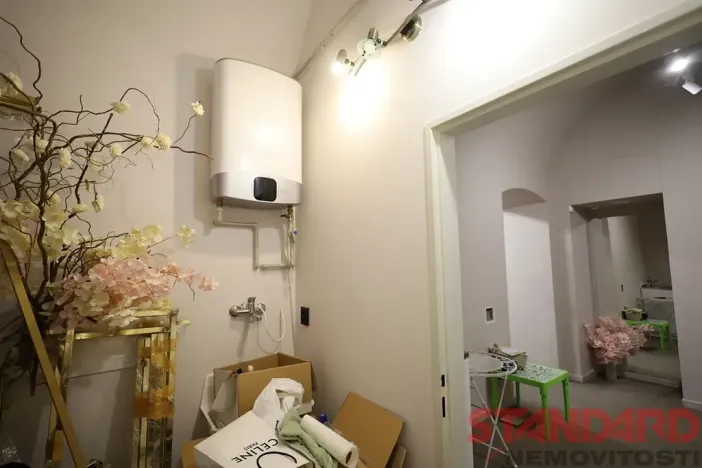 Pronájem obchodního prostoru, Plzeň, Bezručova, 53 m2