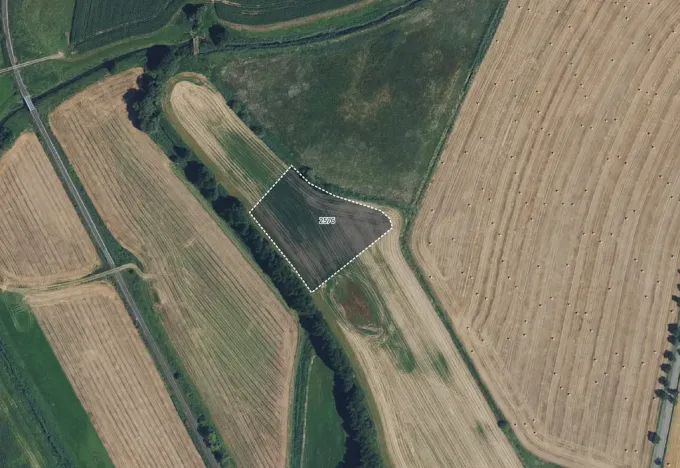 Prodej louky, Městečko Trnávka, 8040 m2