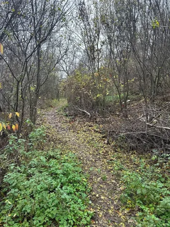 Prodej komerčního pozemku, Brno, Vinohrady, 990 m2