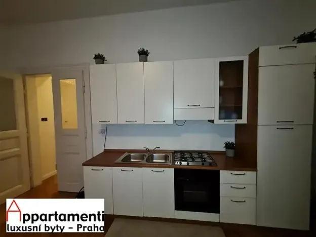 Prodej apartmánu, Praha - Staré Město, Masná, 170 m2