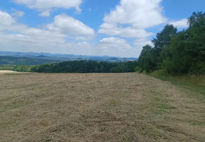 Dražba pozemku, Chlum, 12440 m2