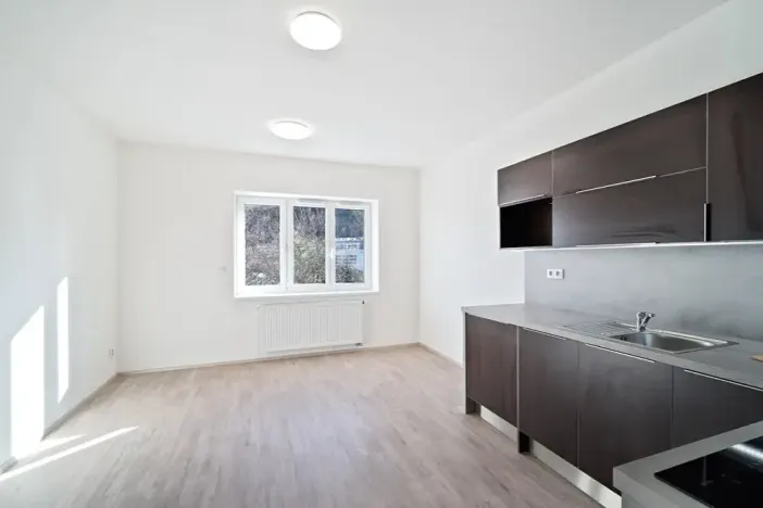 Pronájem bytu 1+kk, Praha - Košíře, Starokošířská, 25 m2