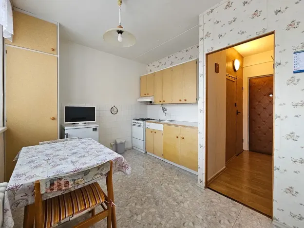 Prodej bytu 1+1, Vyškov, Puškinova, 33 m2