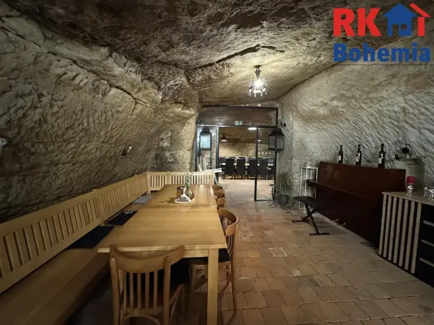 Pronájem restaurace, Mladá Boleslav, Ptácká, 410 m2