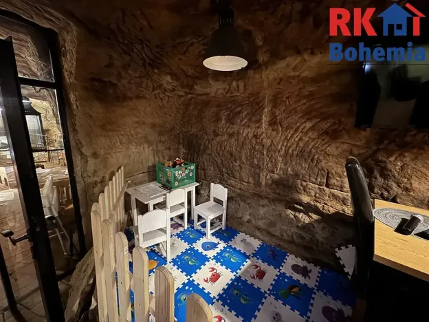 Pronájem restaurace, Mladá Boleslav, Ptácká, 410 m2