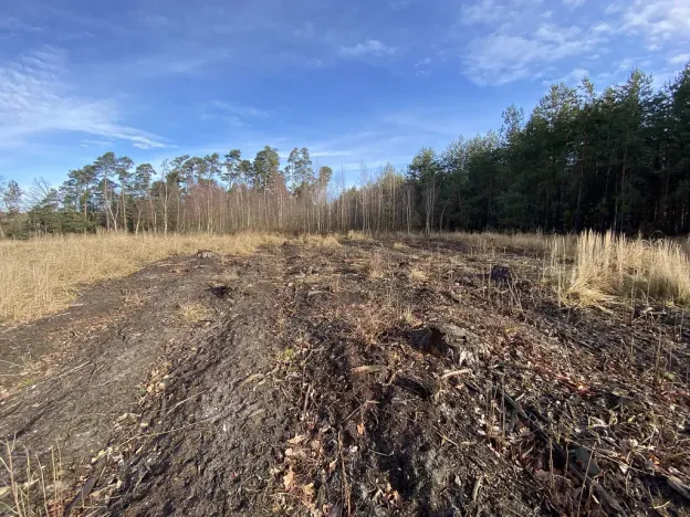 Prodej lesa, Veliny, 4968 m2