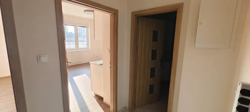 Pronájem bytu 2+kk, Praha - Žižkov, Basilejské náměstí, 48 m2