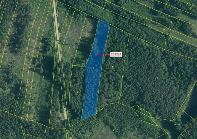 Dražba lesa, Kunžak, 8933 m2