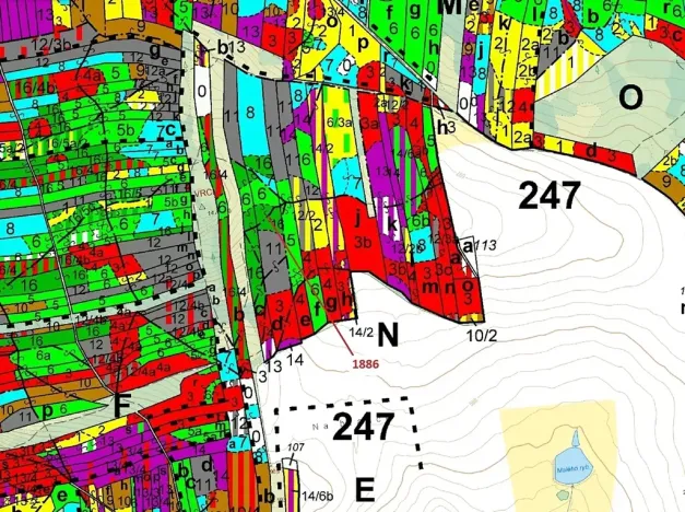 Dražba lesa, Žirovnice, 19314 m2