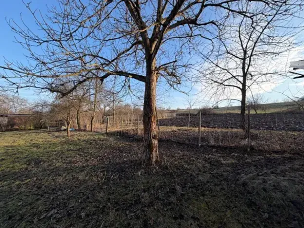 Prodej zahrady, Milý, 554 m2