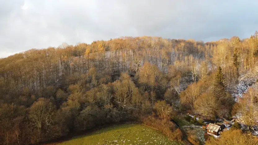 Prodej louky, Malečov, 1240 m2