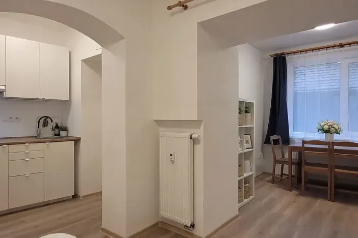 Pronájem bytu 1+kk, Brno, Francouzská, 25 m2