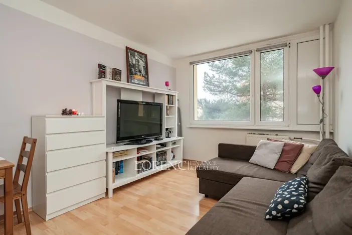 Prodej bytu 2+kk, Praha - Kamýk, Cílkova, 42 m2