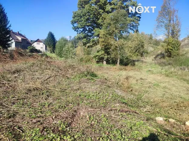 Prodej zahrady, Staré Buky, 2666 m2