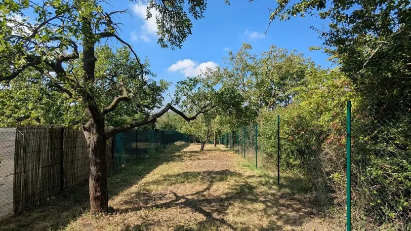 Prodej zahrady, Brno, 319 m2