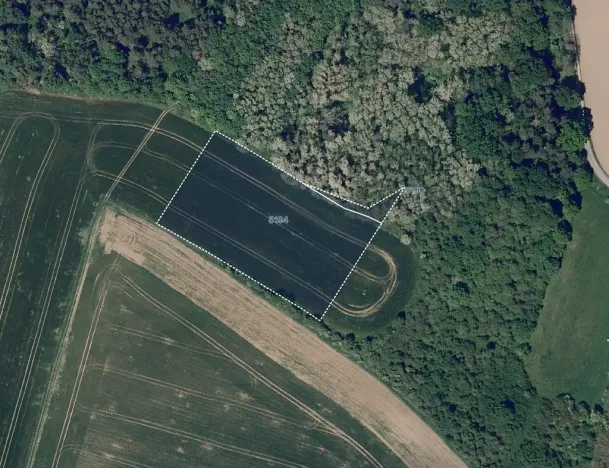 Prodej pole, Ořechov, 7754 m2