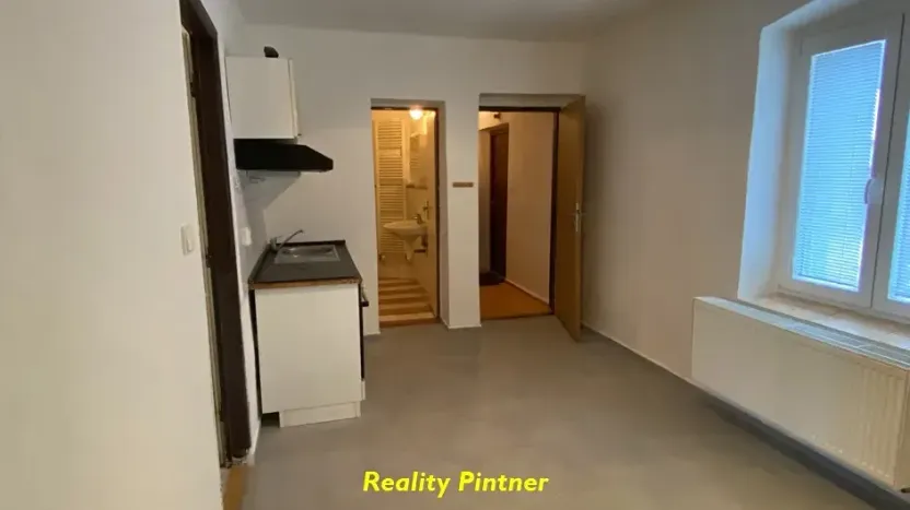 Prodej bytu 1+1, Březnice, V koleji, 40 m2