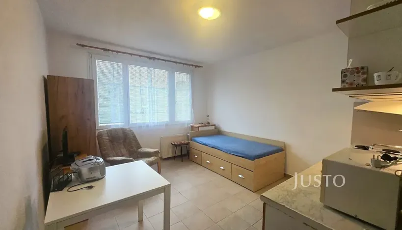 Pronájem bytu 1+kk, Písek, Dr. M. Horákové, 20 m2