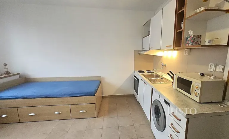 Pronájem bytu 1+kk, Písek, Dr. M. Horákové, 20 m2