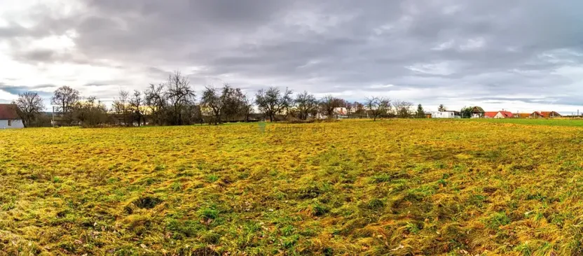Prodej pozemku pro bydlení, Stádlec, 4550 m2