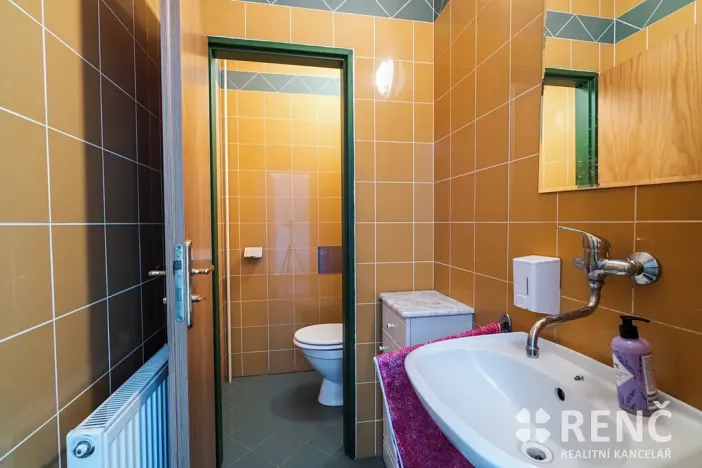 Prodej rodinného domu, Brno, Blatného, 265 m2