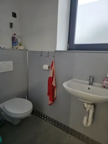 Pronájem skladu, Frýdlant nad Ostravicí, 196 m2